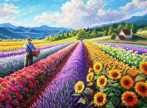 Field of Dreams